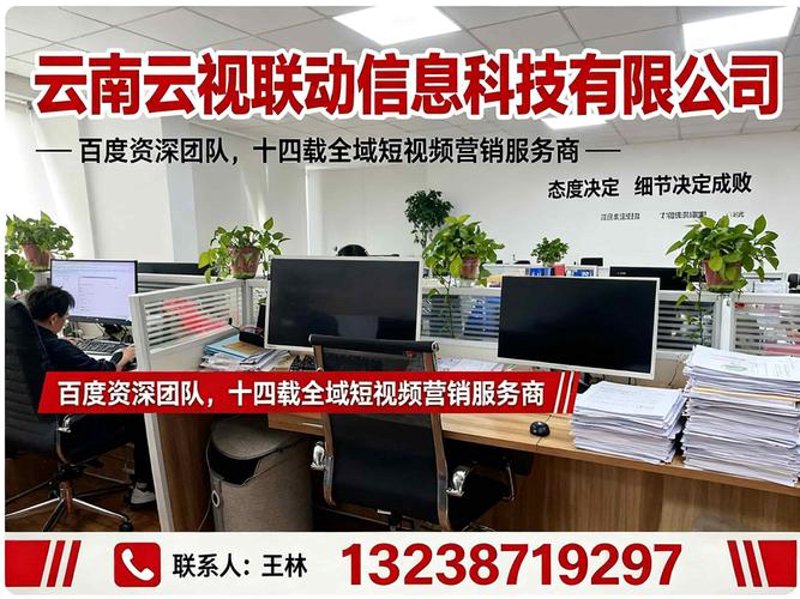 昭通IT服务